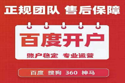 行业领先企业的SEM代理案例剖析